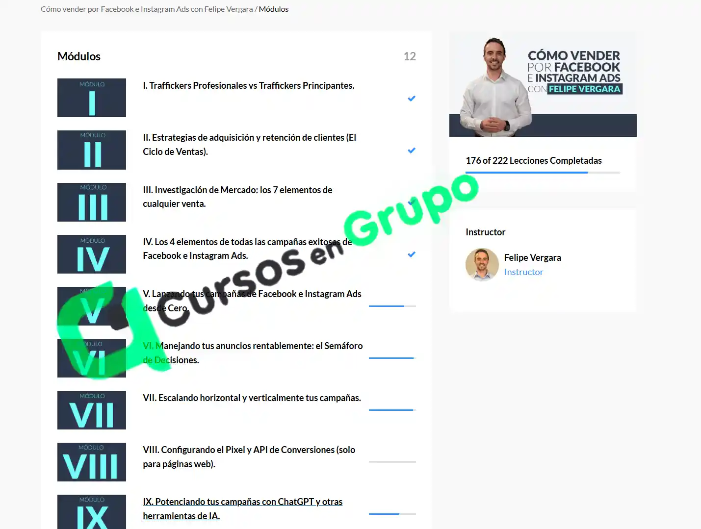 Curso de Facebook e Instagram Ads 2025 de Felipe Vergara Cursos en Grupo