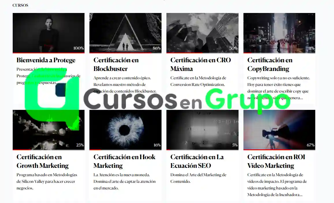 Programa de Certificaciones Protege de Incubadora Despegue Cursos en Grupo